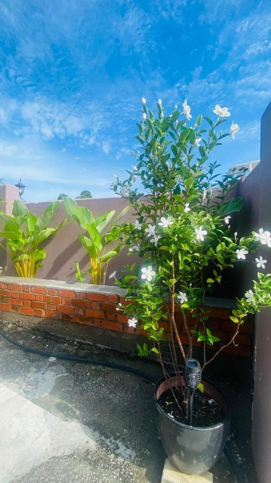 Motel Seri Mutiara Kuah Exterior foto